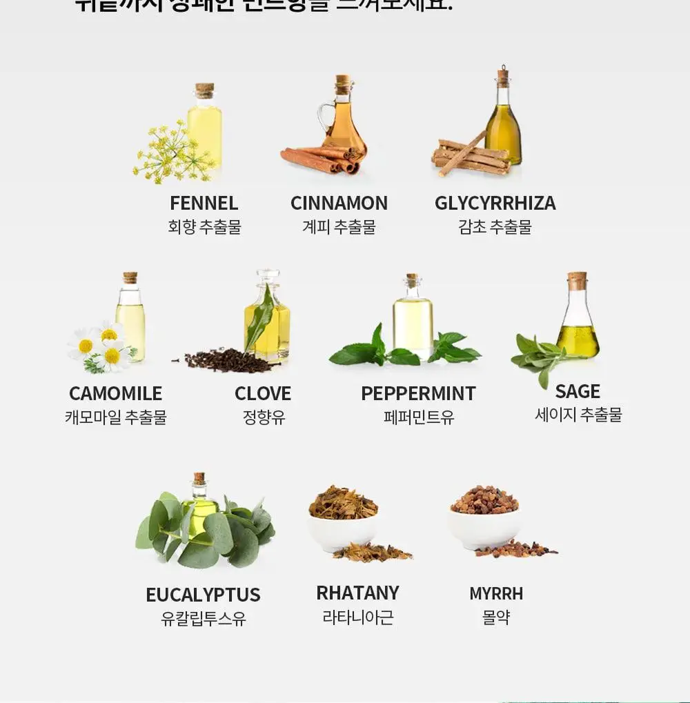 [무불소] 덴티스테 뉴 플러스화이트 치약 60g/100g/160g 3종 택 1 상세페이지 4